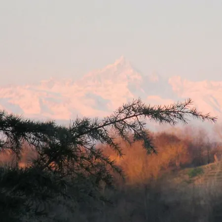 Il Giardino Interiore *