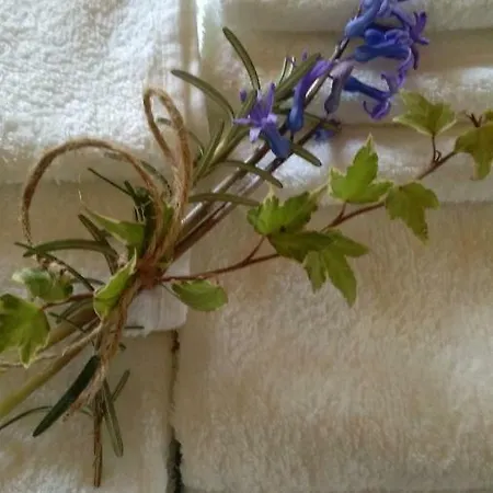 Il Giardino Interiore Castagnole Monferrato