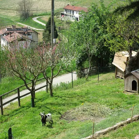 Nocleg ze śniadaniem Il Giardino Interiore *