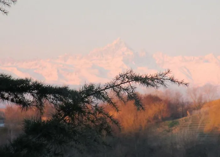 Il Giardino Interiore *